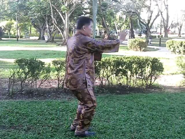 Sun Style Taijiquan